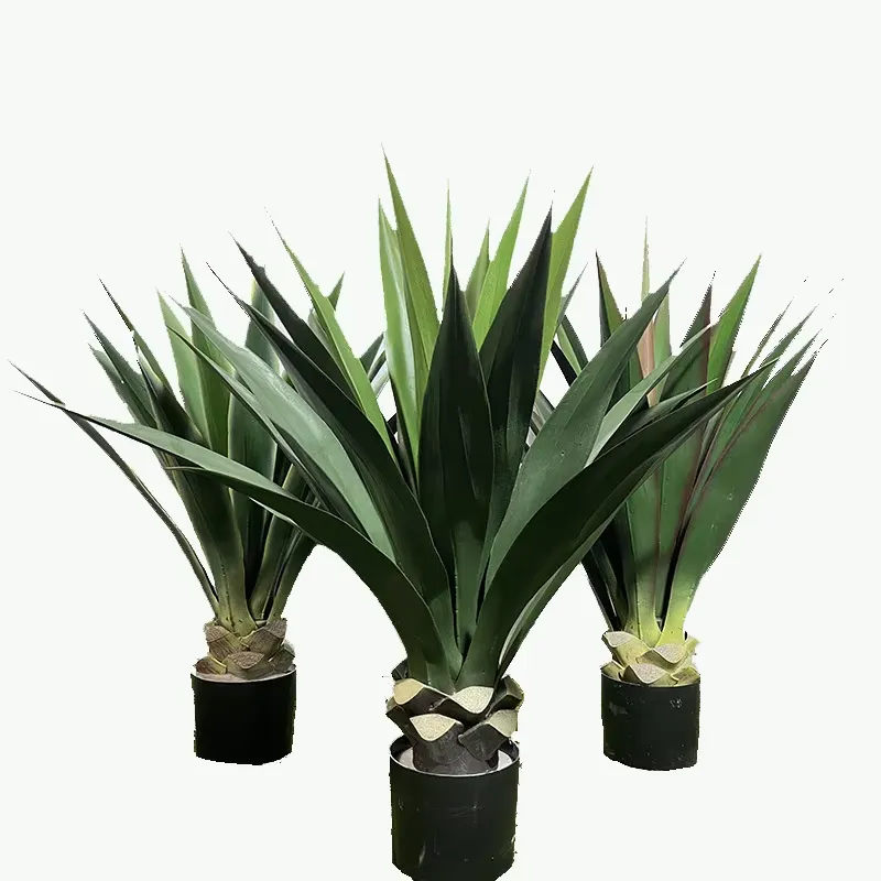 Nouveau produit en gros, plant - Baby Products Wholesale avis et prix