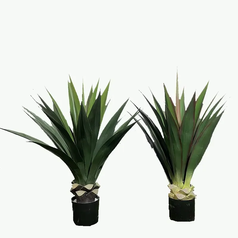 Nouveau produit en gros, plant - Baby Products Wholesale avis et prix